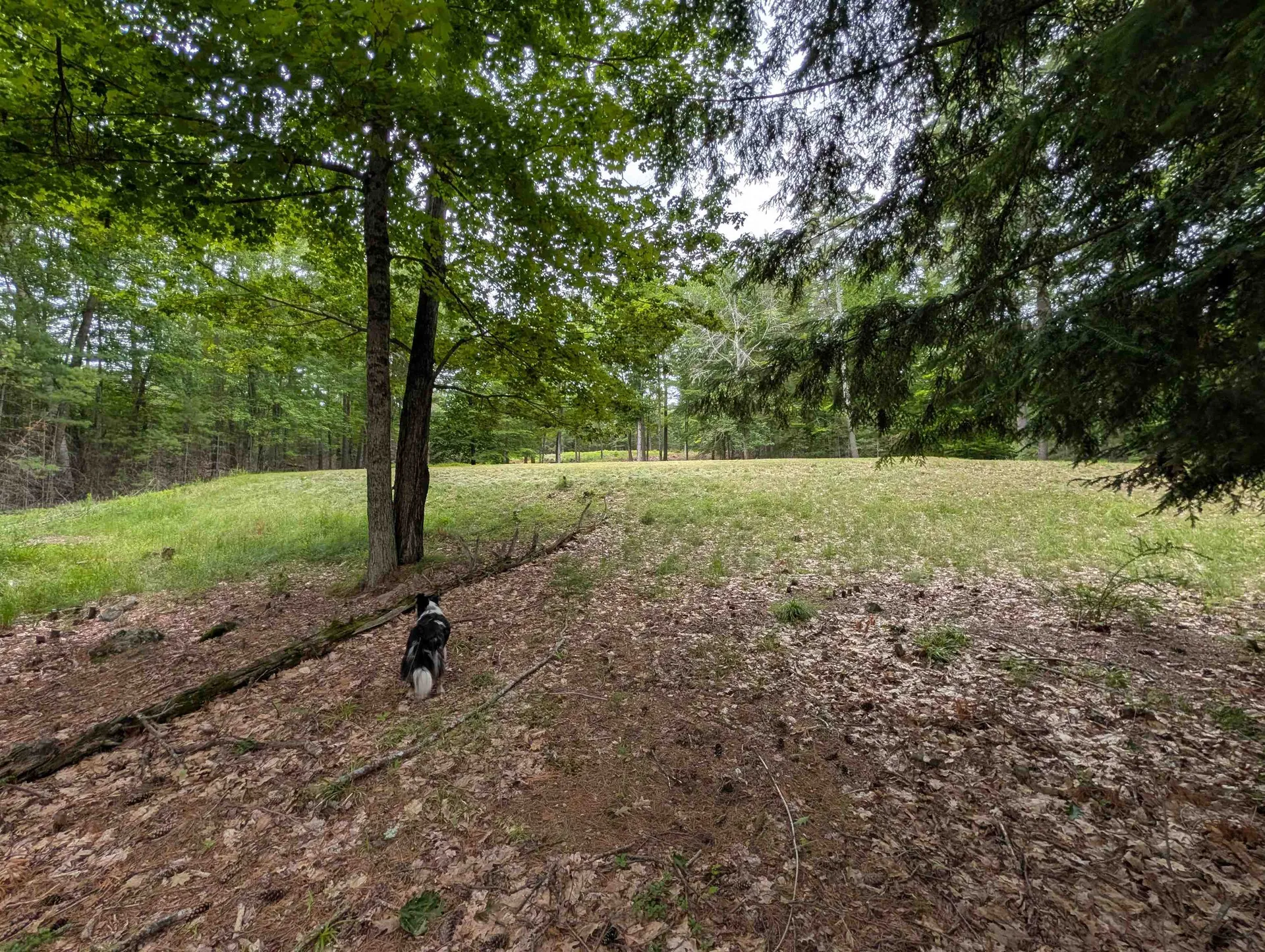 70 High Ridge Road Moultonborough NH 03254