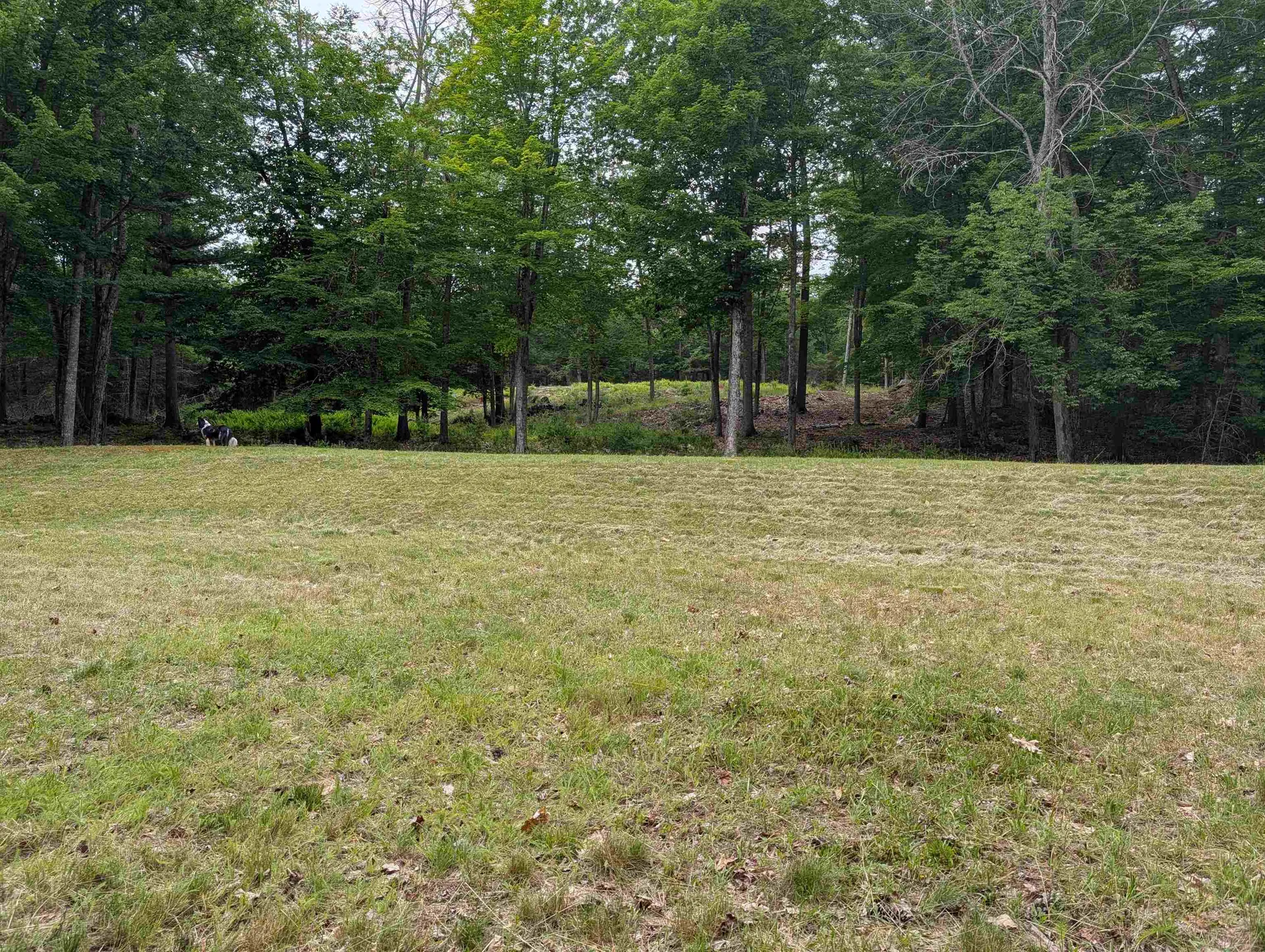 70 High Ridge Road Moultonborough NH 03254