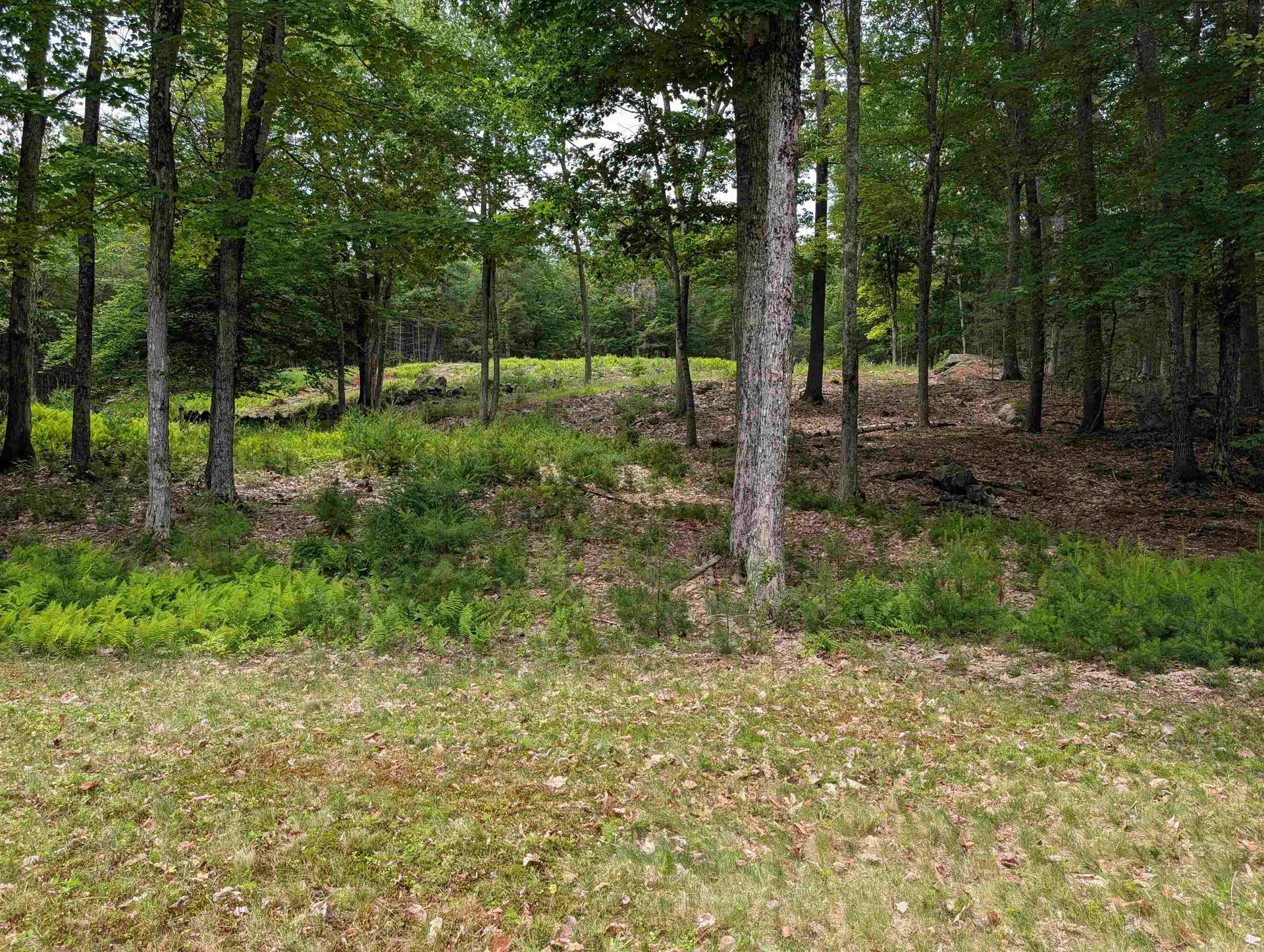 70 High Ridge Road Moultonborough NH 03254
