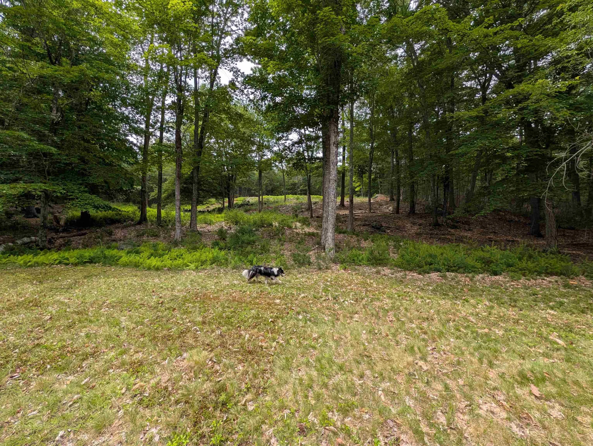 70 High Ridge Road Moultonborough NH 03254