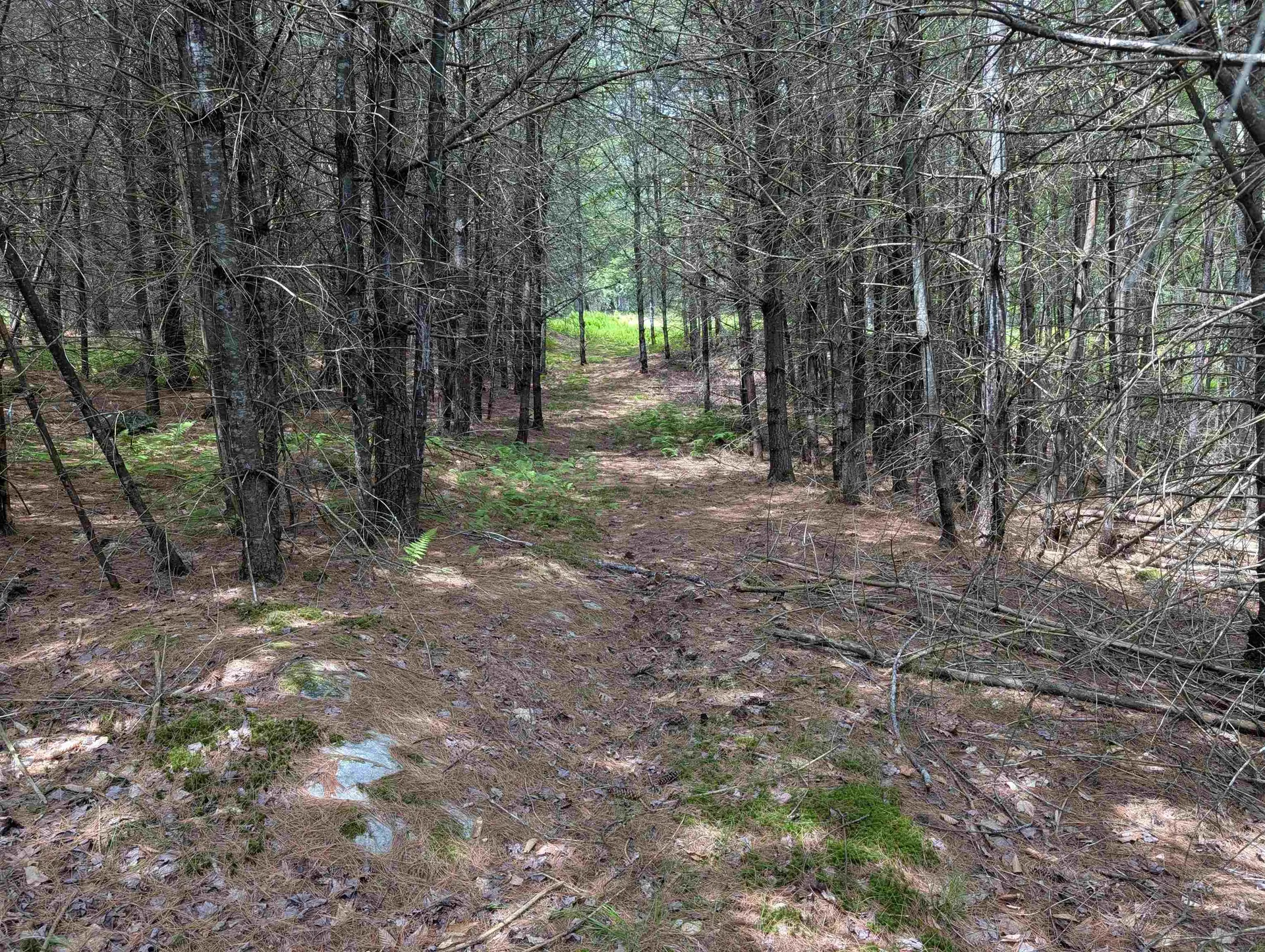 70 High Ridge Road Moultonborough NH 03254