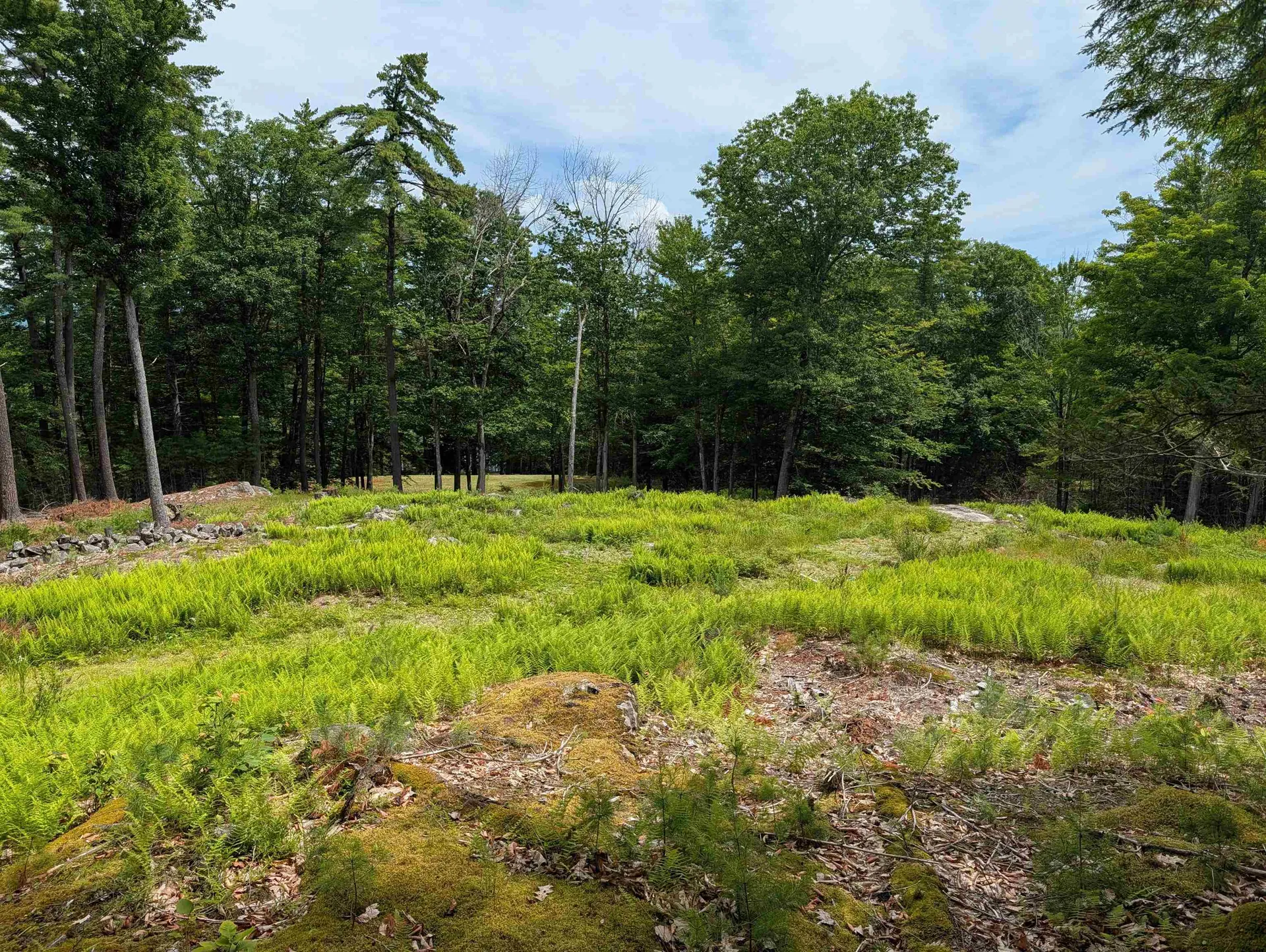 70 High Ridge Road Moultonborough NH 03254