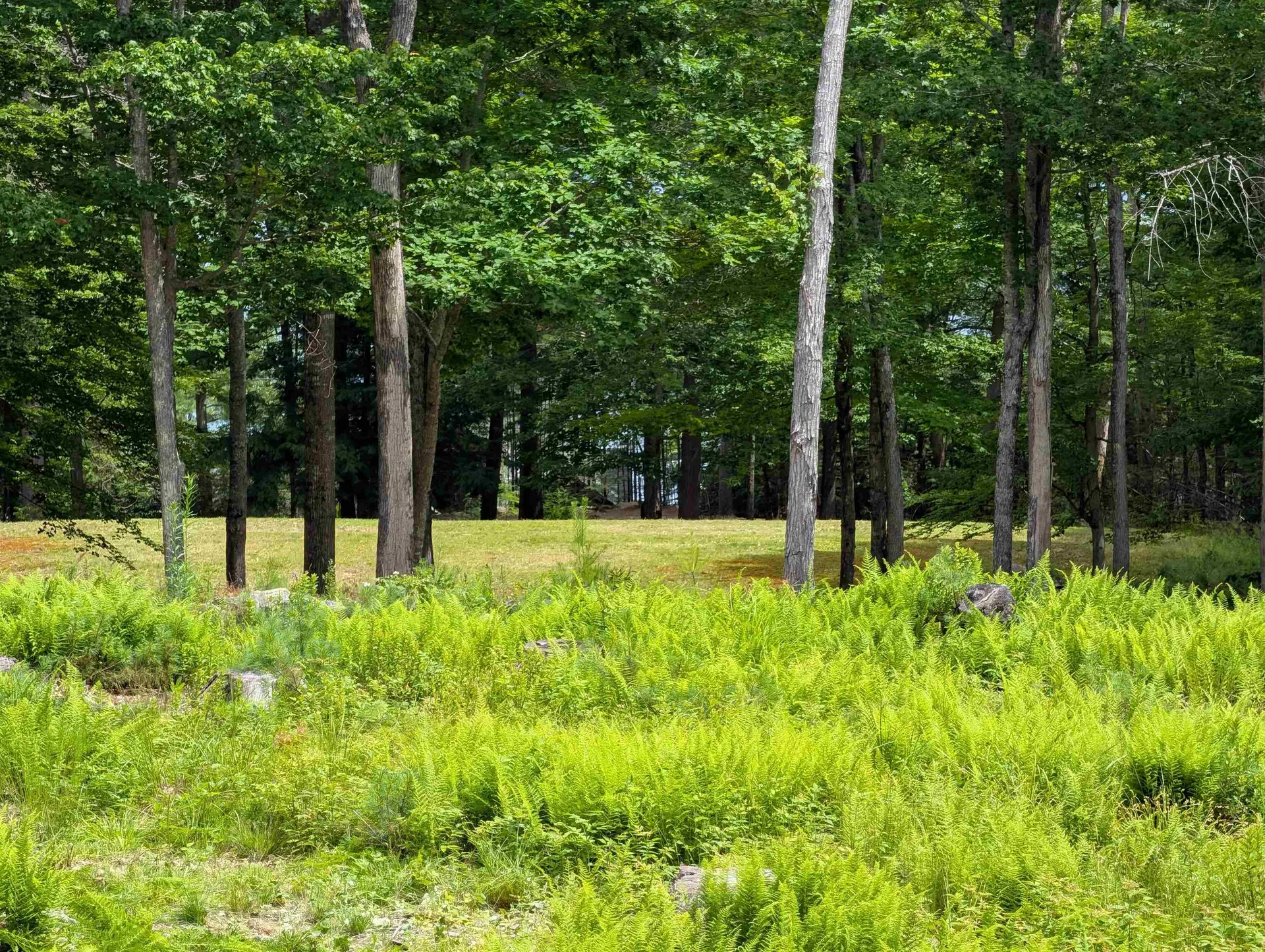 70 High Ridge Road Moultonborough NH 03254