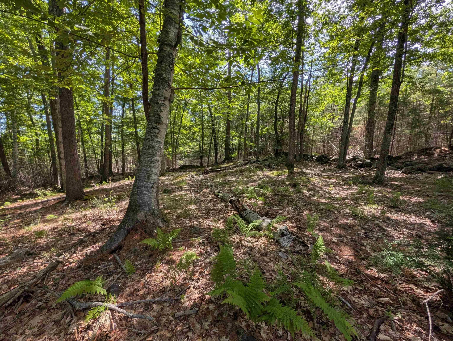 70 High Ridge Road Moultonborough NH 03254