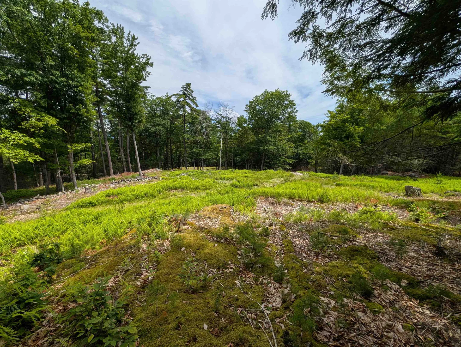 70 High Ridge Road Moultonborough NH 03254