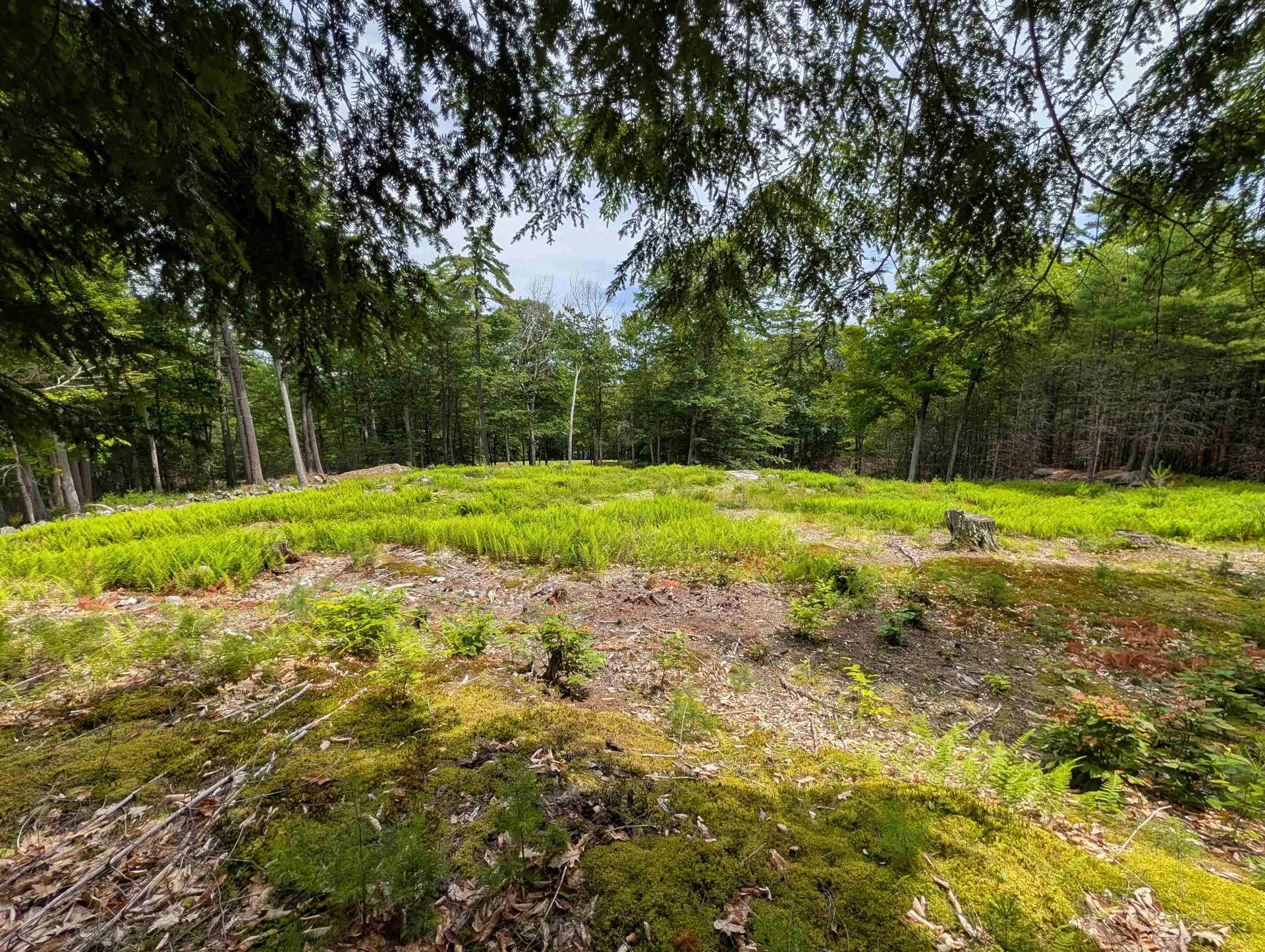 70 High Ridge Road Moultonborough NH 03254