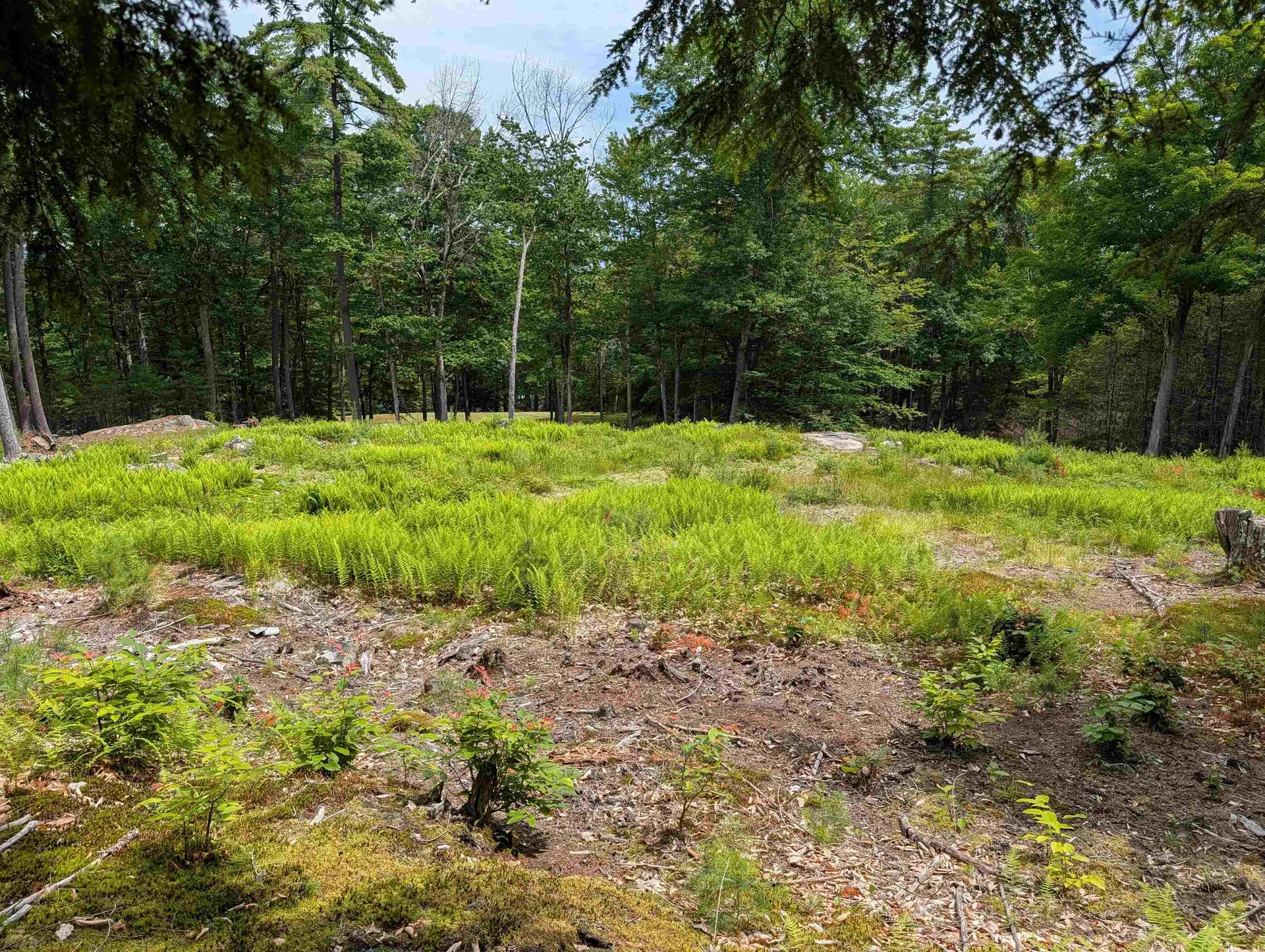 70 High Ridge Road Moultonborough NH 03254
