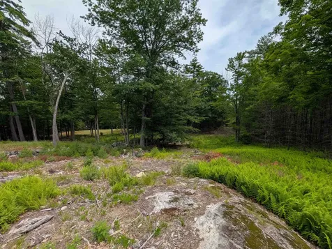 70 High Ridge Road Moultonborough NH 03254