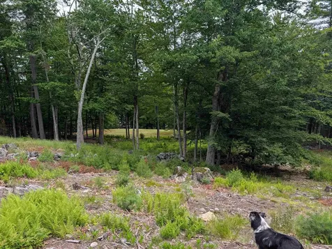 70 High Ridge Road Moultonborough NH 03254