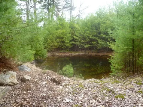 70 High Ridge Road Moultonborough NH 03254
