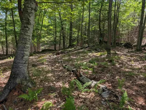 70 High Ridge Road Moultonborough NH 03254
