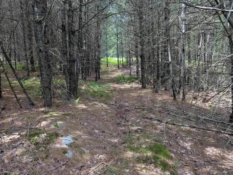 70 High Ridge Road Moultonborough NH 03254