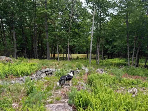 70 High Ridge Road Moultonborough NH 03254