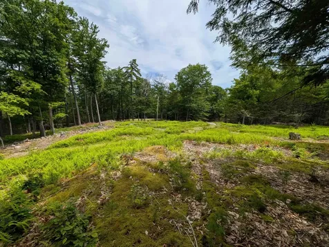 70 High Ridge Road Moultonborough NH 03254