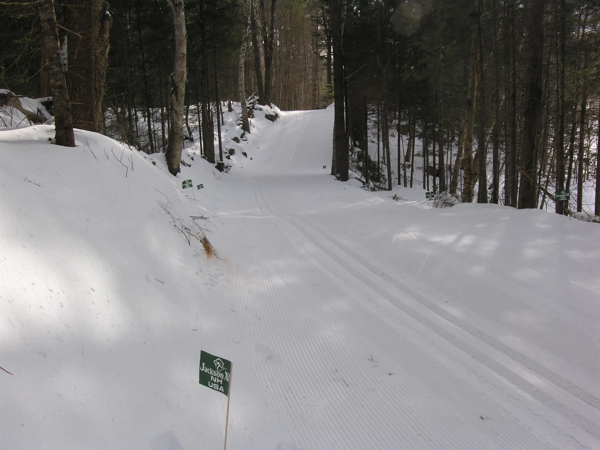 7 Cameron Drive Jackson NH 03846