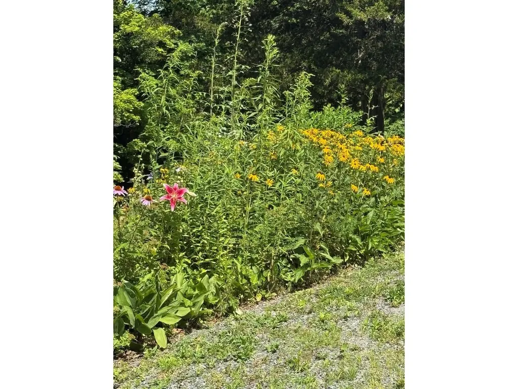 240 Jericho Road Richmond VT 05477