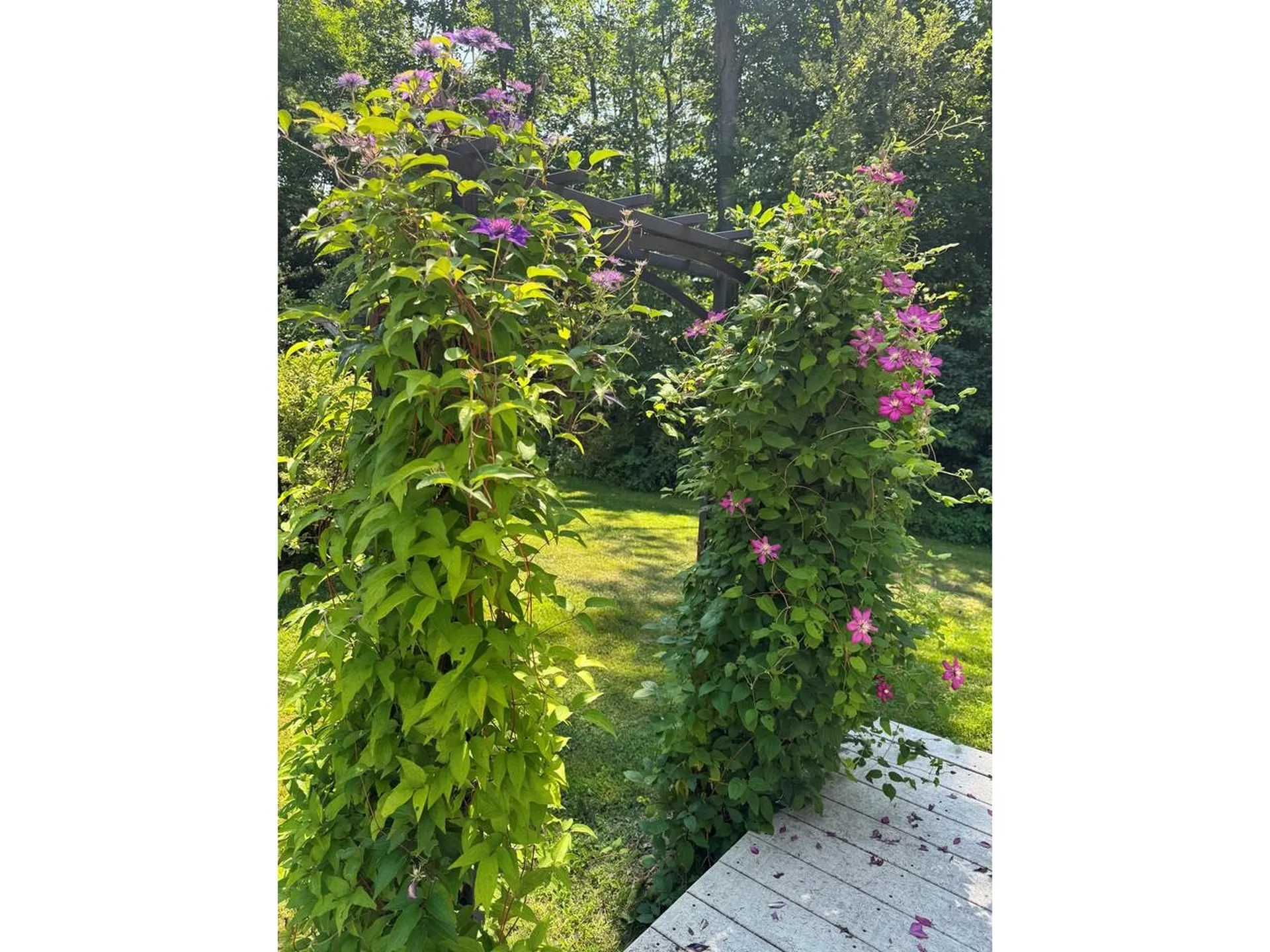 240 Jericho Road Richmond VT 05477