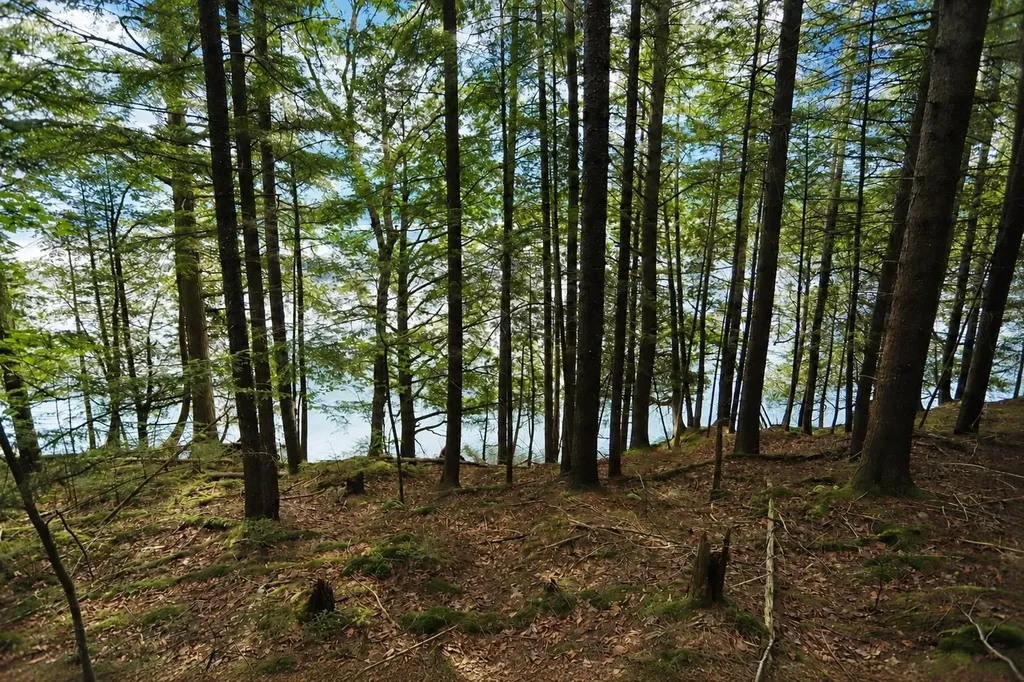 1220 Camp Winape Road Morgan VT 05829