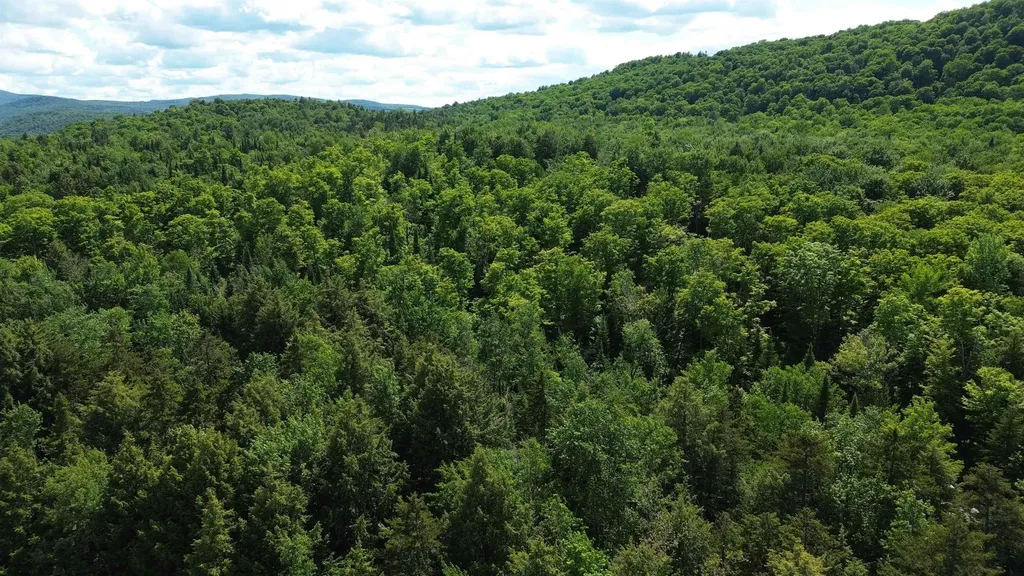 1220 Camp Winape Road Morgan VT 05829
