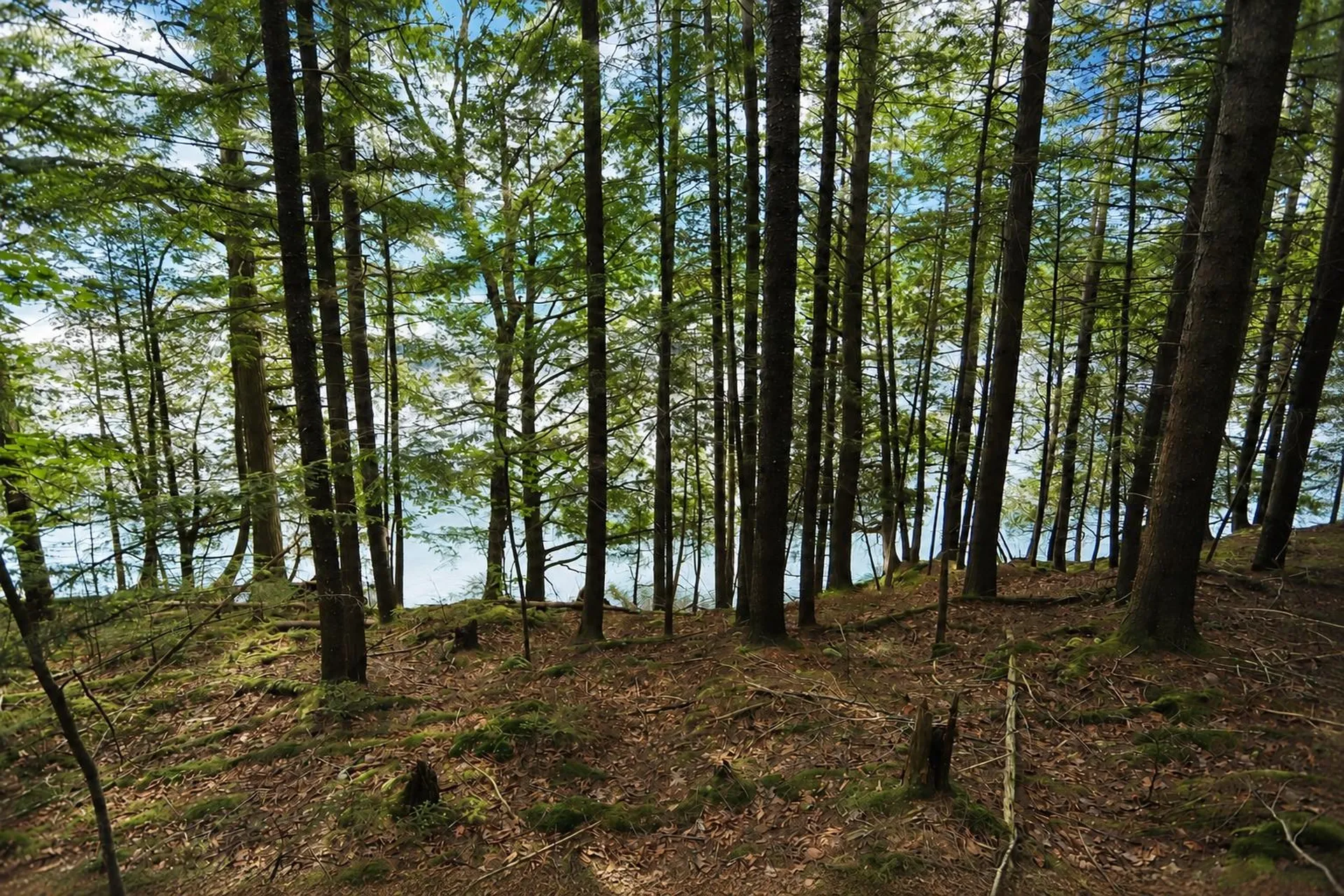 1220 Camp Winape Road Morgan VT 05829