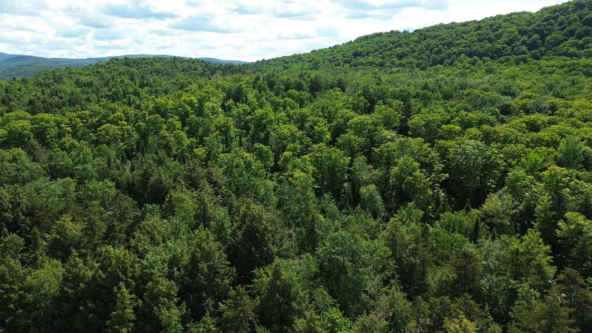 1220 Camp Winape Road Morgan VT 05829