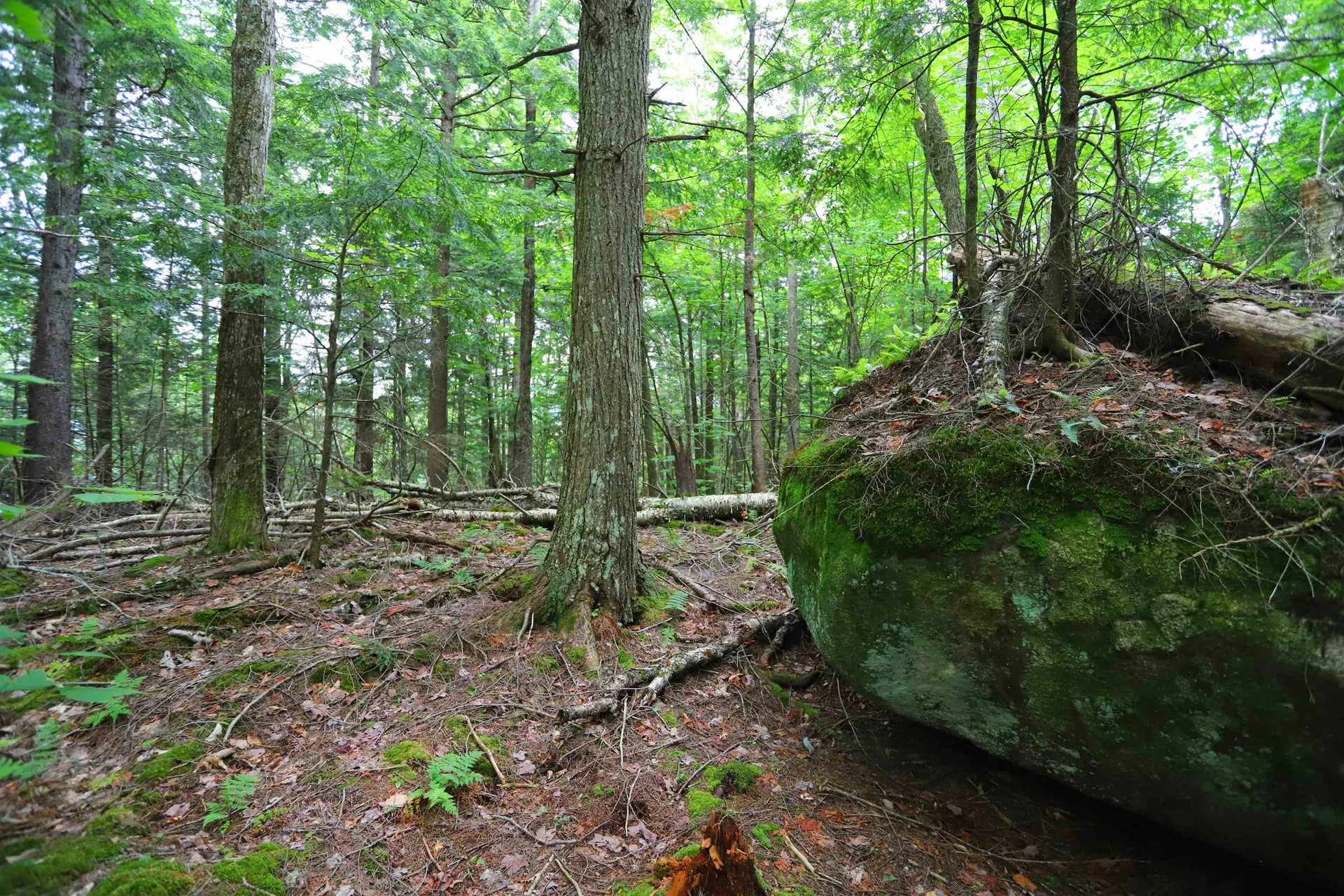 1220 Camp Winape Road Morgan VT 05829