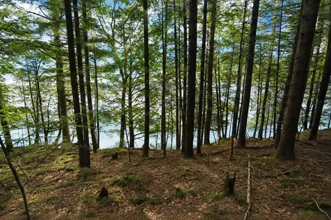 1220 Camp Winape Road Morgan VT 05829