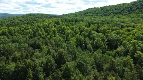 1220 Camp Winape Road Morgan VT 05829