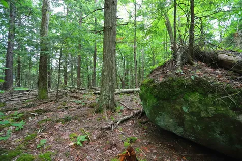 1220 Camp Winape Road Morgan VT 05829