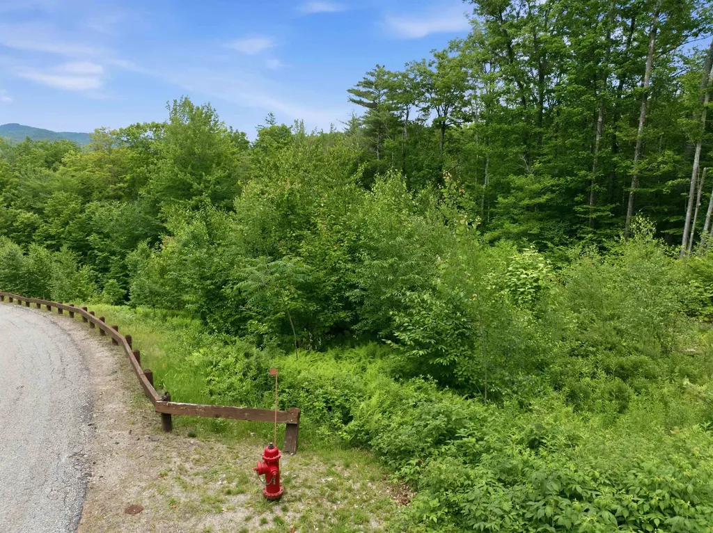 6 Squam River Landing Ashland NH 03217