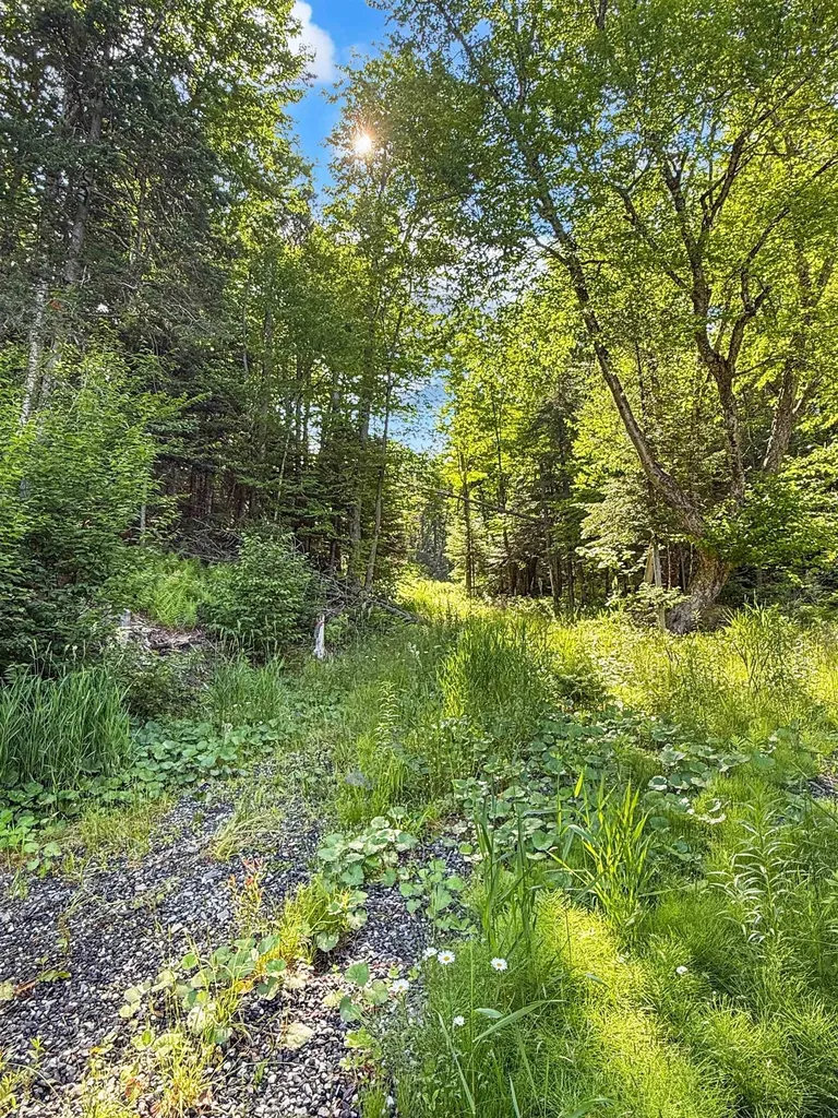 55 Meadow View Drive Pittsburg NH 03592
