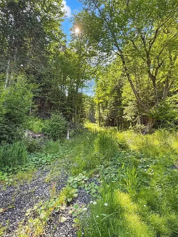 55 Meadow View Drive Pittsburg NH 03592