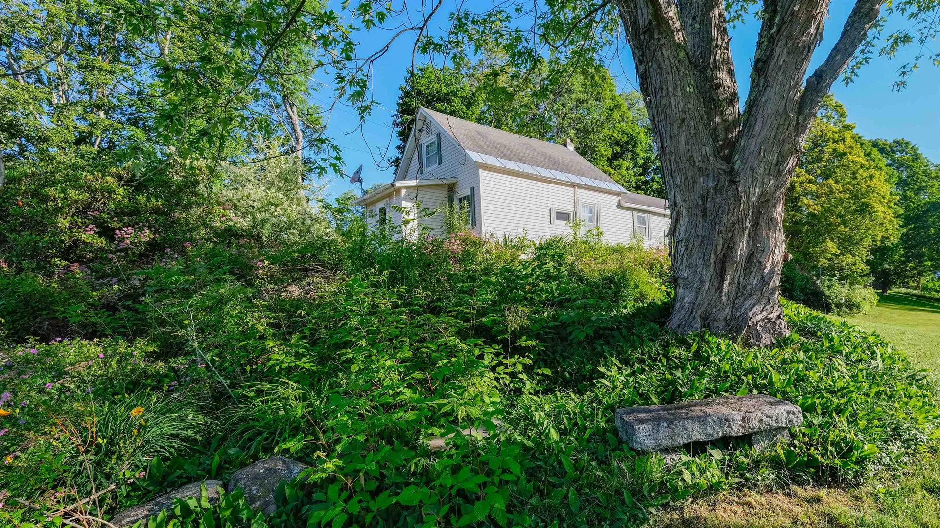 758 Weston Andover Road Andover VT 05143