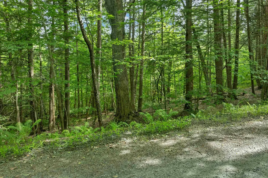 0 Safford Road Hartford VT 05059