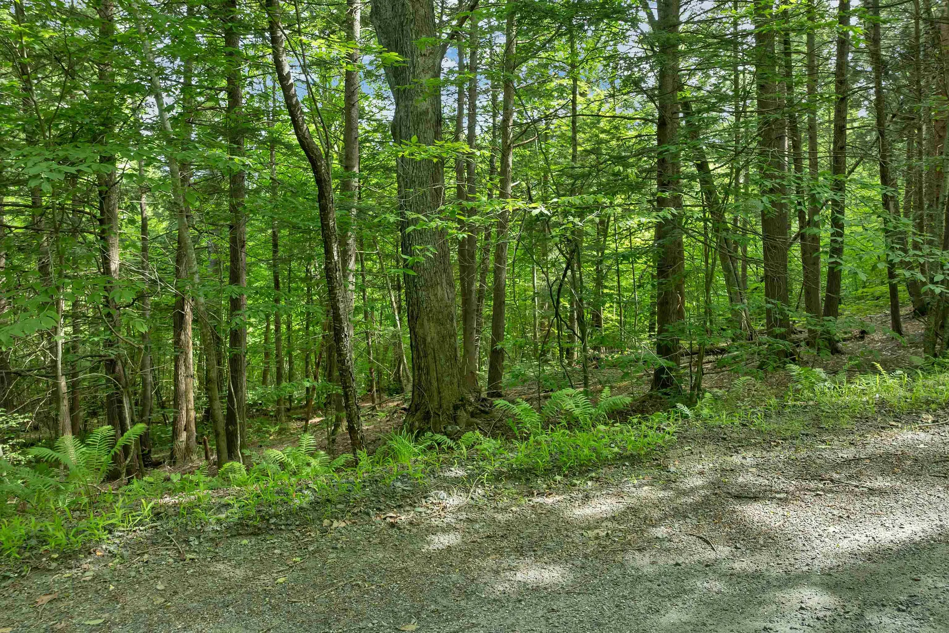 0 Safford Road Hartford VT 05059