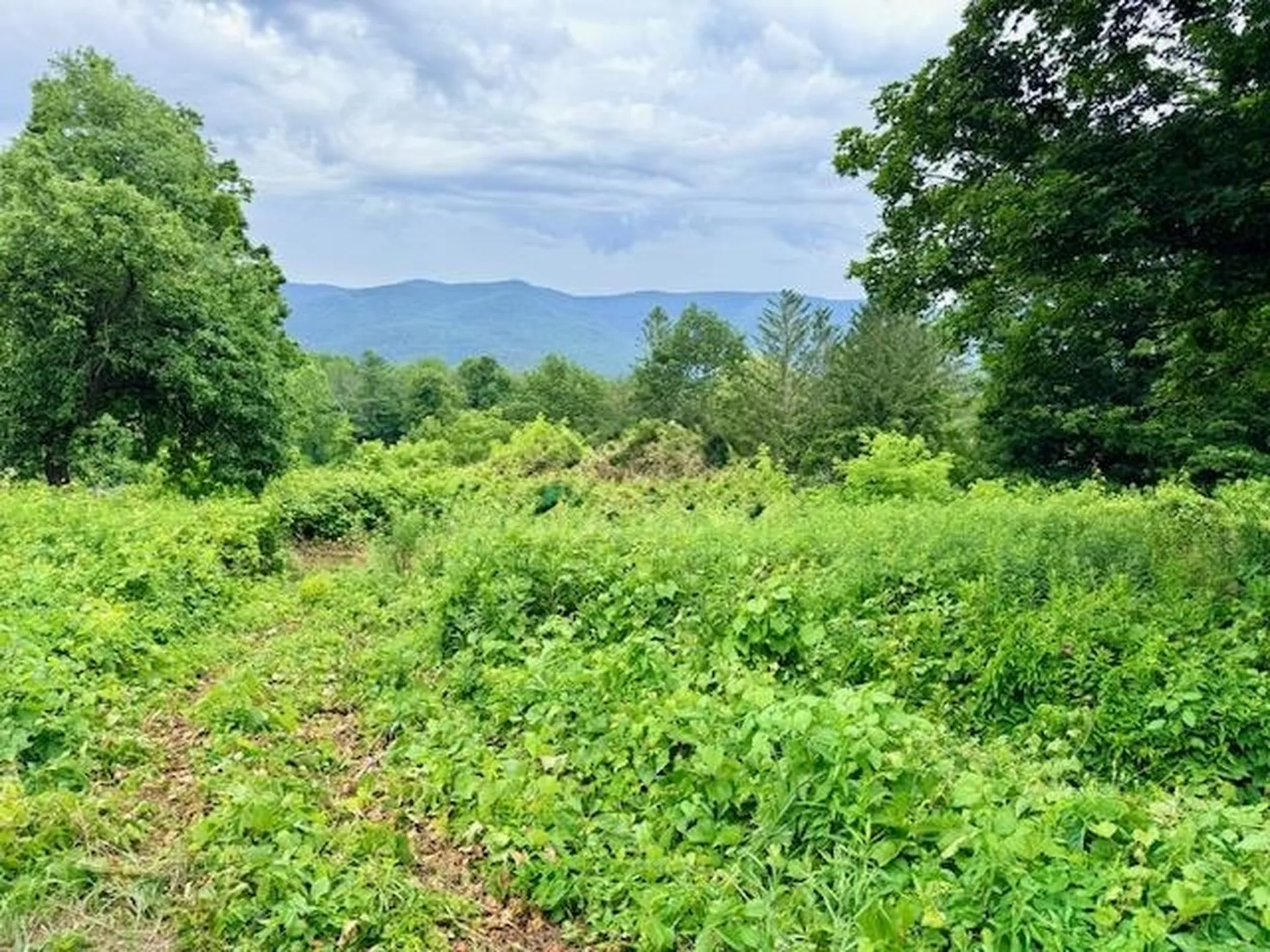 510 Center Street Pownal VT 05261