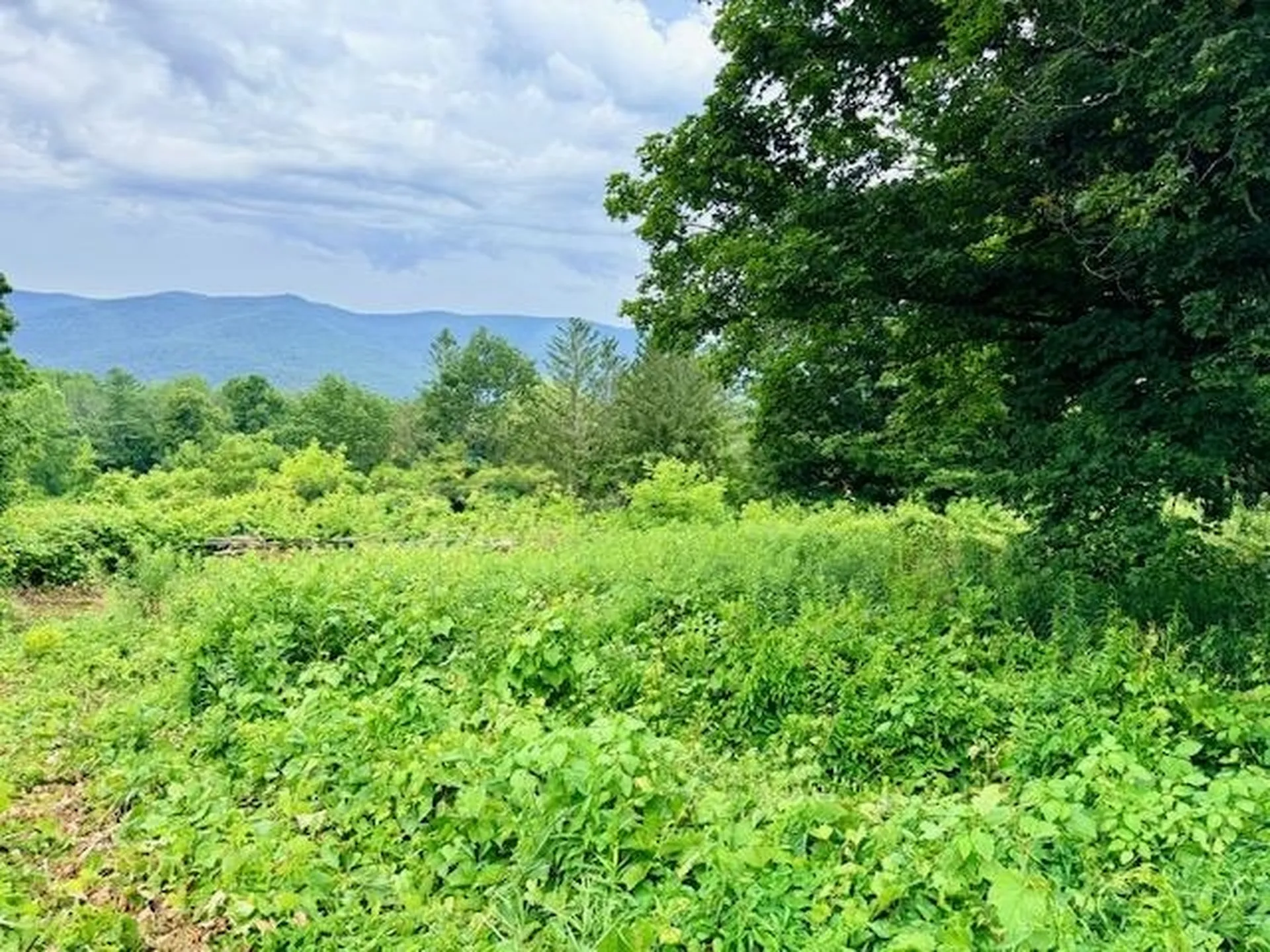 510 Center Street Pownal VT 05261