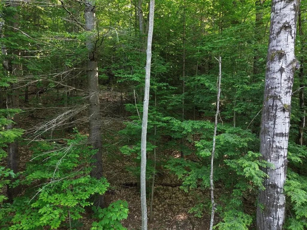0 Old Carriage Road Fayston VT 05673
