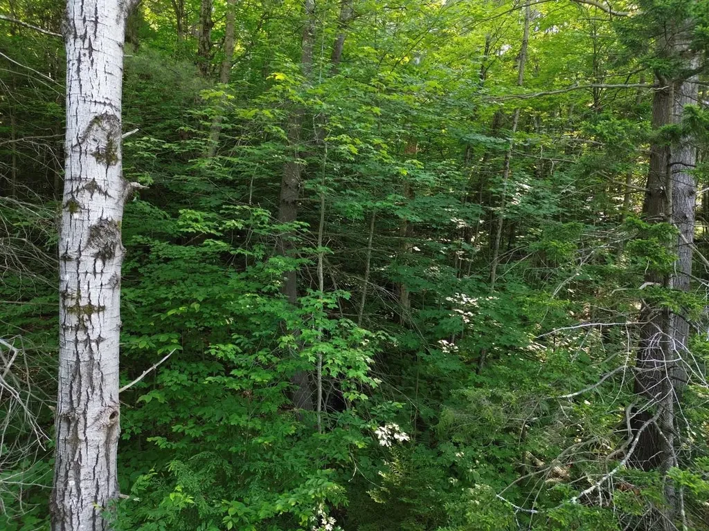 0 Old Carriage Road Fayston VT 05673