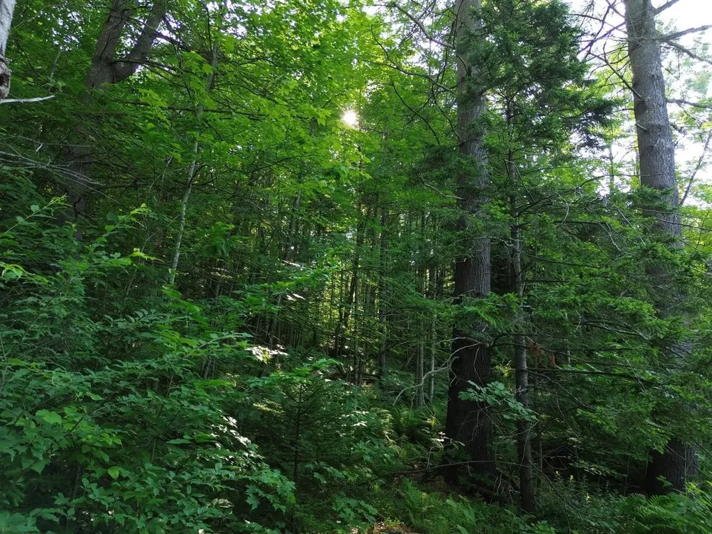 0 Old Carriage Road Fayston VT 05673