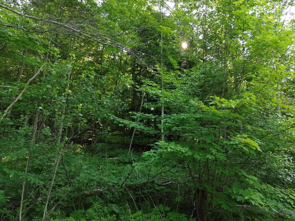 0 Old Carriage Road Fayston VT 05673