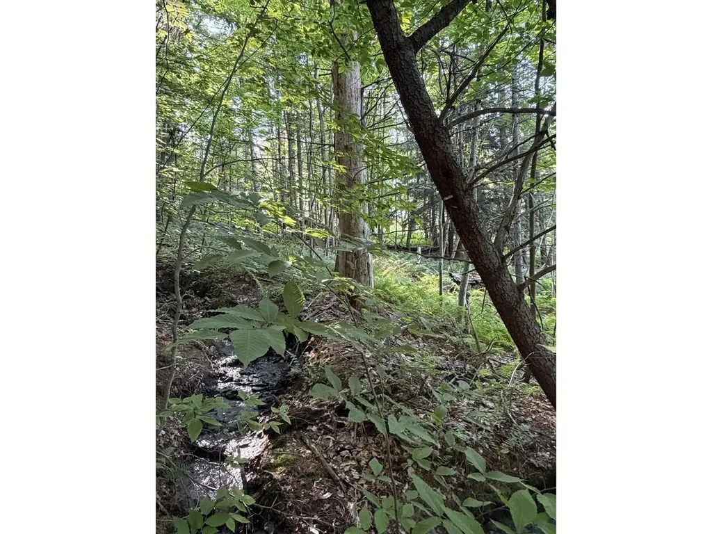 0 Old Carriage Road Fayston VT 05673