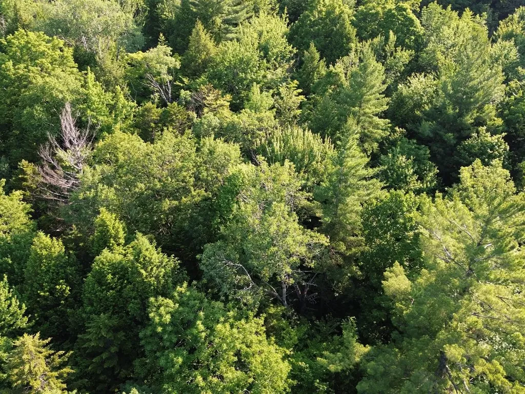 0 Old Carriage Road Fayston VT 05673