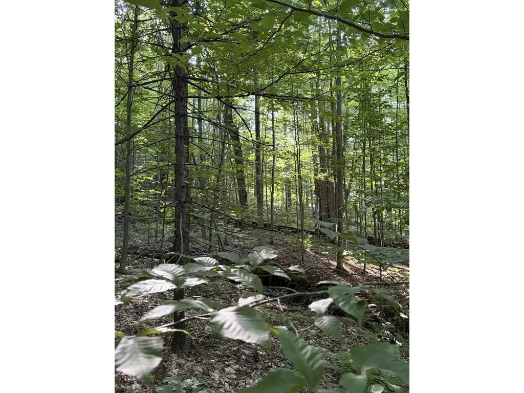 0 Old Carriage Road Fayston VT 05673