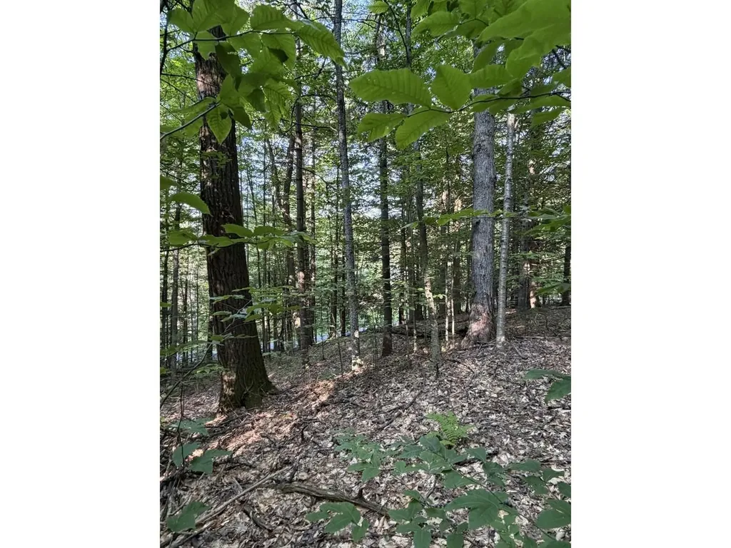 0 Old Carriage Road Fayston VT 05673