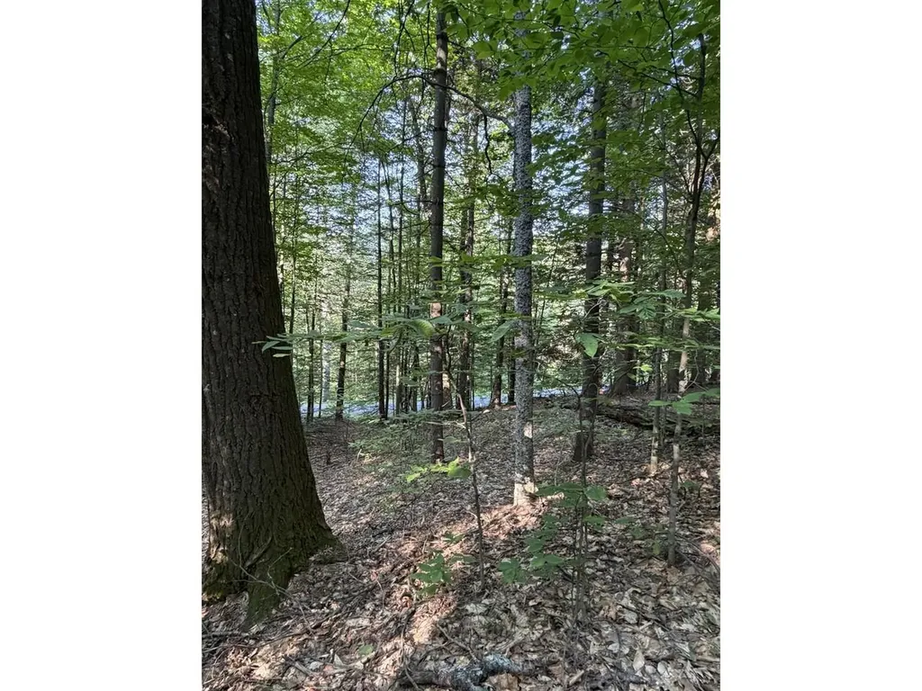 0 Old Carriage Road Fayston VT 05673