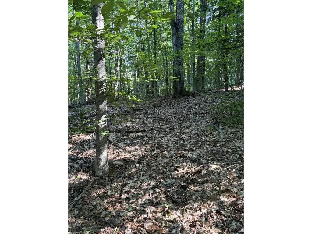 0 Old Carriage Road Fayston VT 05673