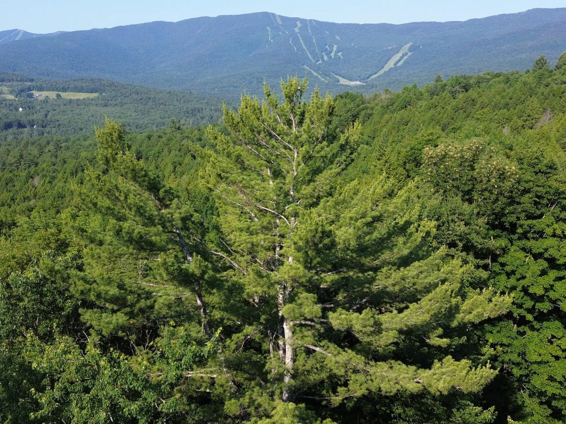 0 Old Carriage Road Fayston VT 05673