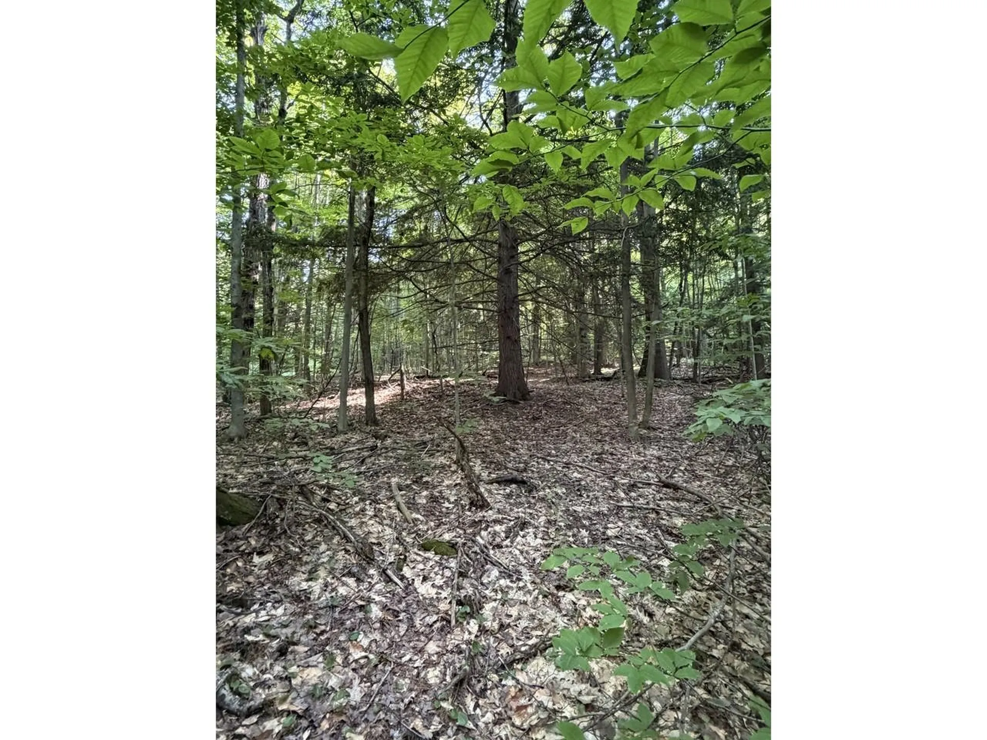 0 Old Carriage Road Fayston VT 05673