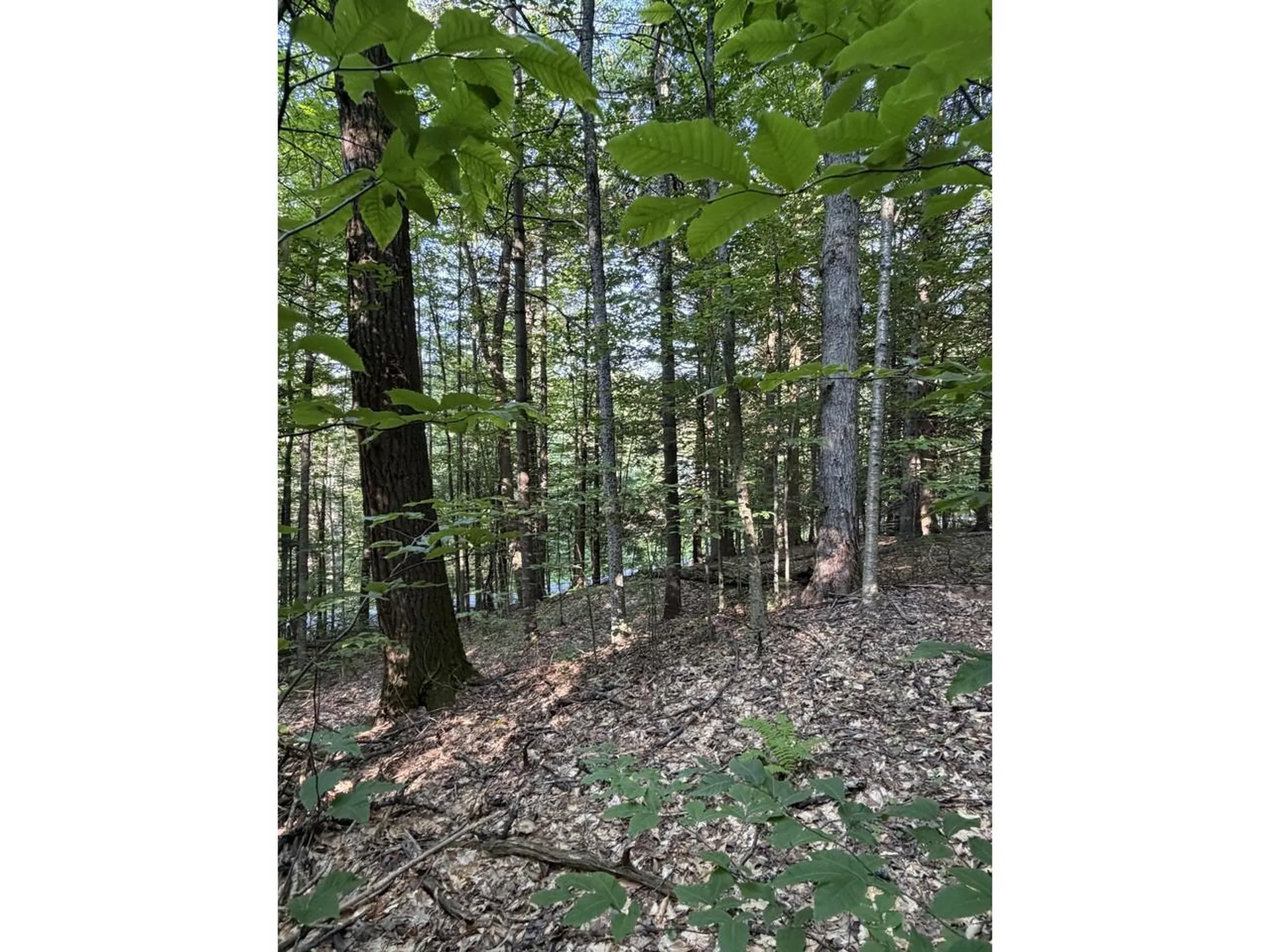 0 Old Carriage Road Fayston VT 05673